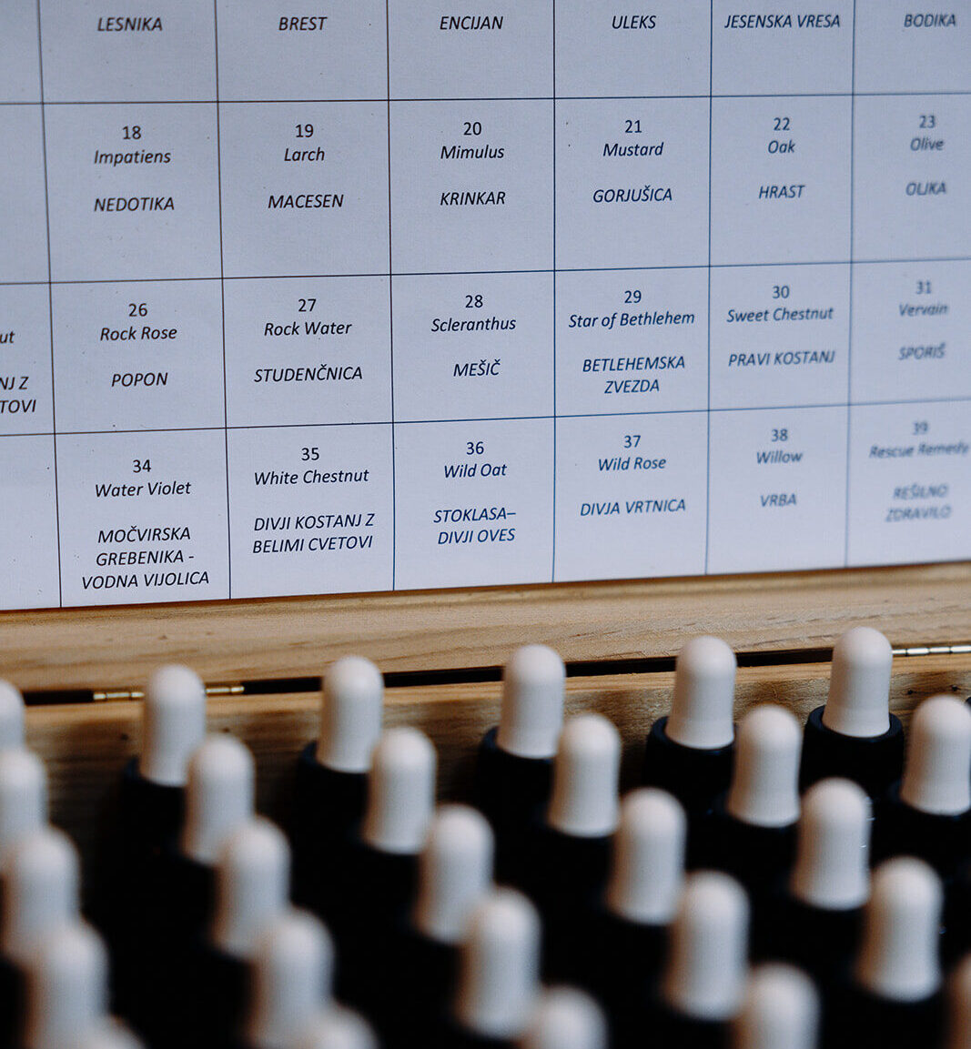 Bachove cvetne esence za čustveno ravnovesje in dušno podporo